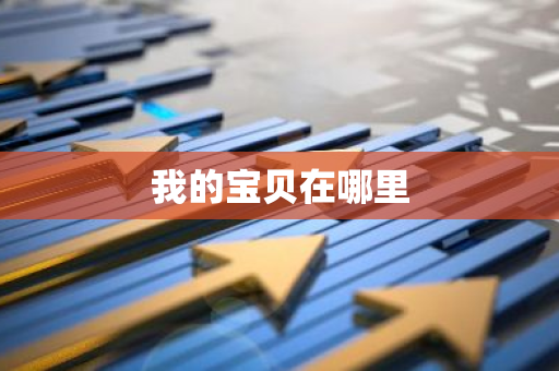 我的宝贝在哪里