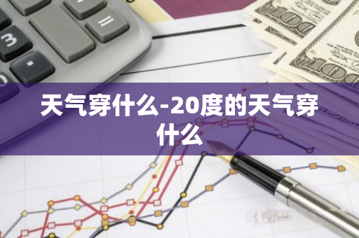 天气穿什么-20度的天气穿什么