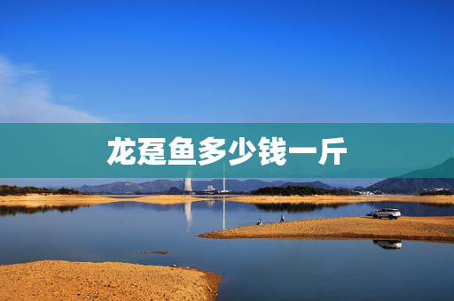龙趸鱼多少钱一斤