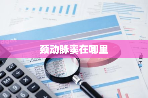 颈动脉窦在哪里