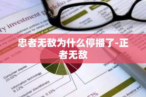 忠者无敌为什么停播了-正者无敌