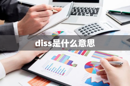 diss是什么意思