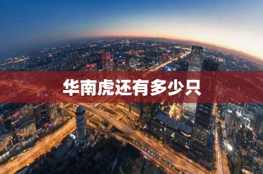 华南虎还有多少只