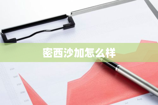 密西沙加怎么样