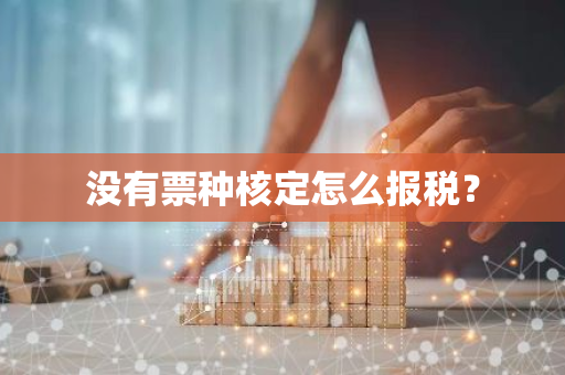 没有票种核定怎么报税？