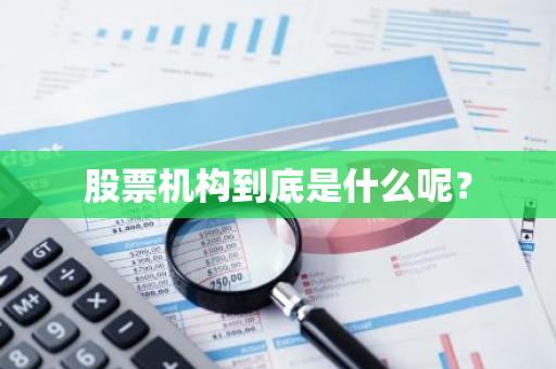 股票机构到底是什么呢？