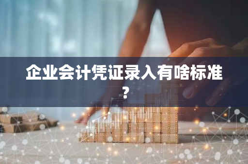 企业会计凭证录入有啥标准？