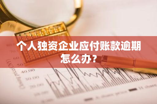 个人独资企业应付账款逾期怎么办？