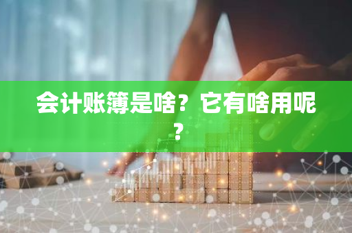 会计账簿是啥？它有啥用呢？