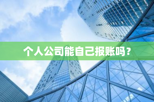 个人公司能自己报账吗？