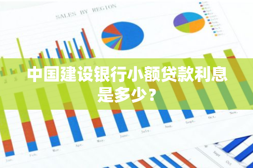中国建设银行小额贷款利息是多少？