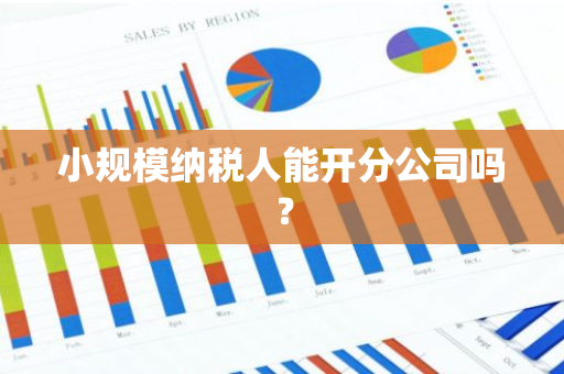 小规模纳税人能开分公司吗？