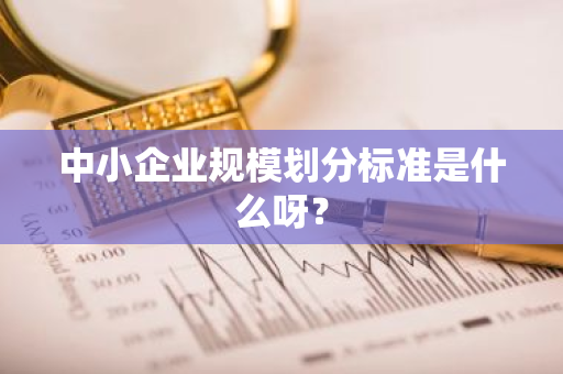 中小企业规模划分标准是什么呀？