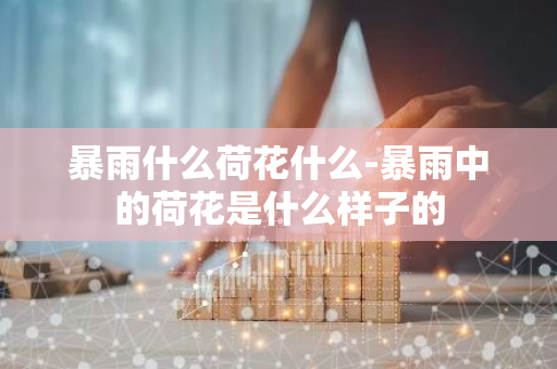 暴雨什么荷花什么-暴雨中的荷花是什么样子的