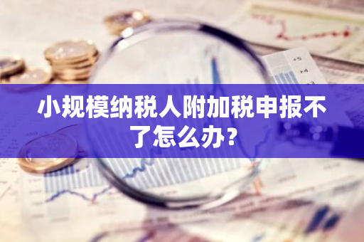 小规模纳税人附加税申报不了怎么办？