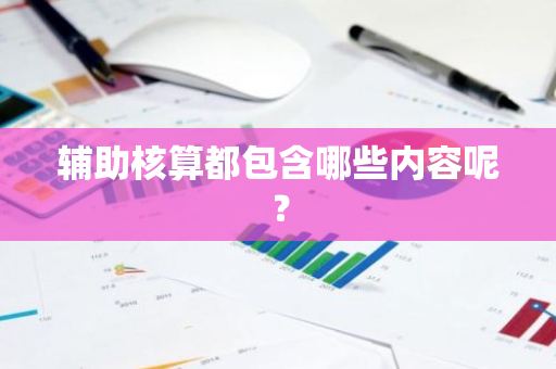 辅助核算都包含哪些内容呢？