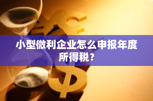 小型微利企业怎么申报年度所得税？