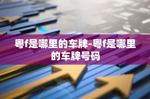 粤f是哪里的车牌-粤f是哪里的车牌号码