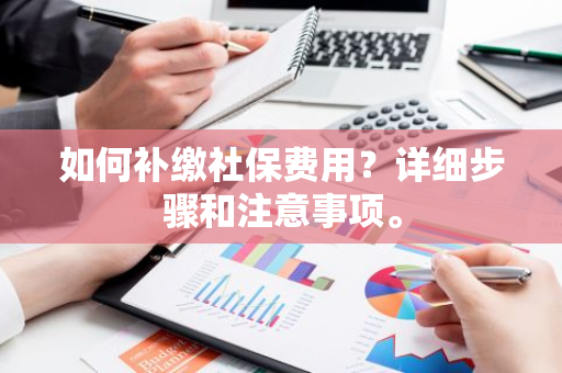 如何补缴社保费用？详细步骤和注意事项。