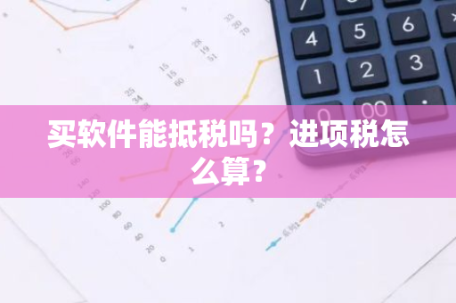 买软件能抵税吗？进项税怎么算？