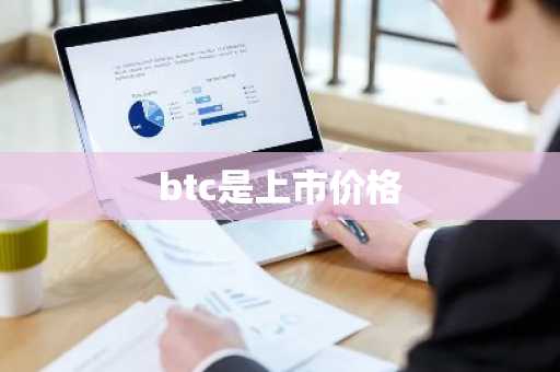 btc是上市价格