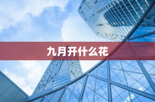 九月开什么花
