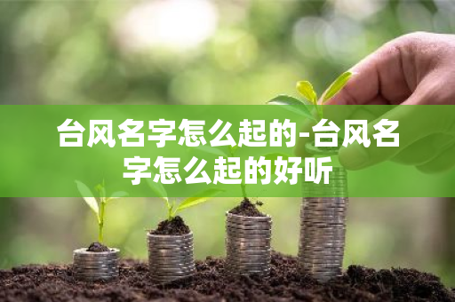 台风名字怎么起的-台风名字怎么起的好听