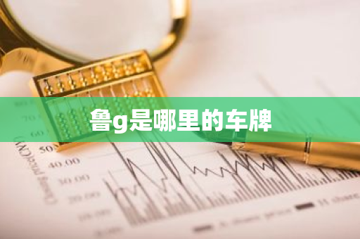 鲁g是哪里的车牌