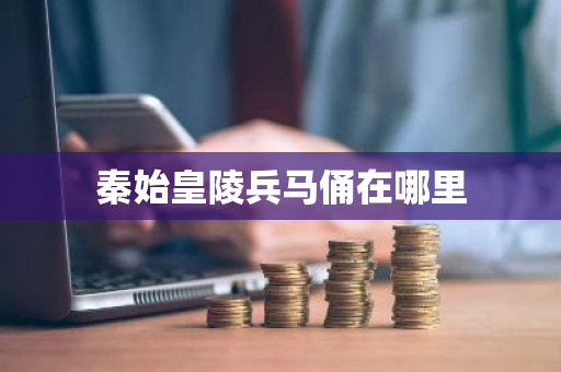 秦始皇陵兵马俑在哪里