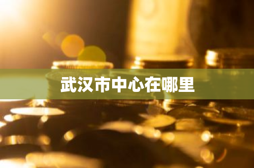武汉市中心在哪里