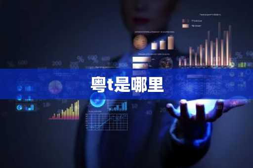 粤t是哪里