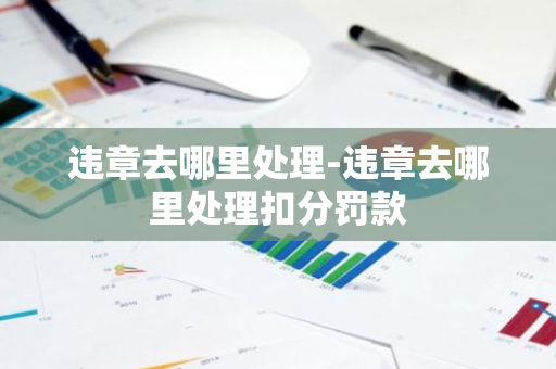 违章去哪里处理-违章去哪里处理扣分罚款