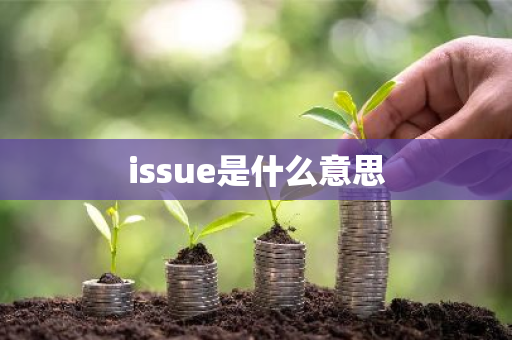 issue是什么意思