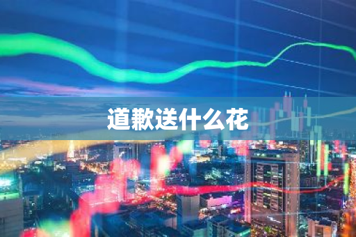 道歉送什么花