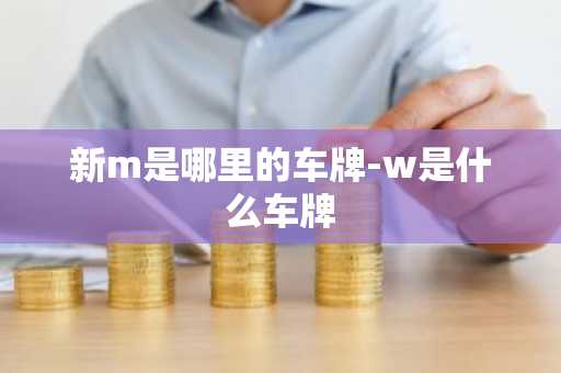 新m是哪里的车牌-w是什么车牌