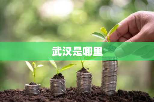 武汉是哪里