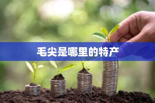 毛尖是哪里的特产