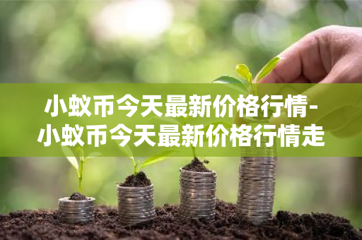 小蚁币今天最新价格行情-小蚁币今天最新价格行情走势