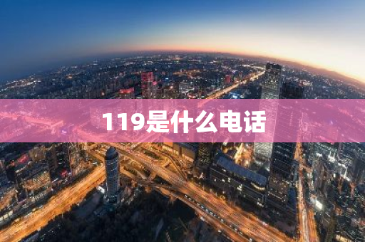 119是什么电话