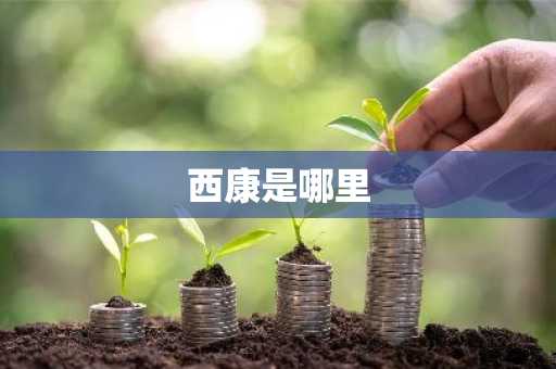 西康是哪里