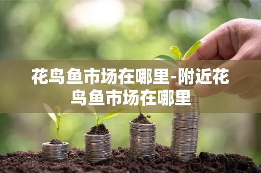 花鸟鱼市场在哪里-附近花鸟鱼市场在哪里