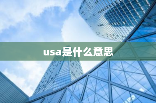 usa是什么意思