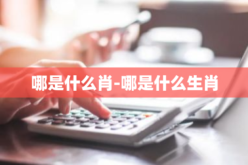 哪是什么肖-哪是什么生肖
