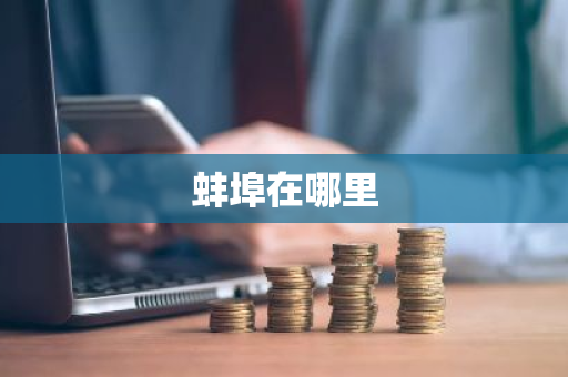 蚌埠在哪里