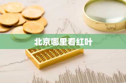 北京哪里看红叶