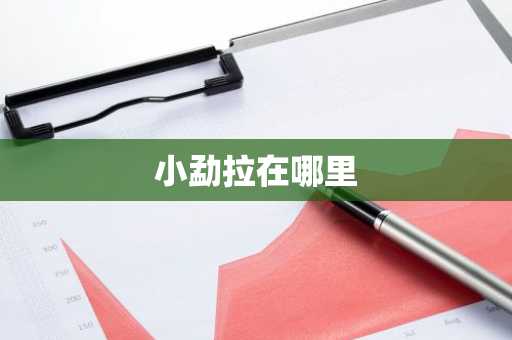 小勐拉在哪里