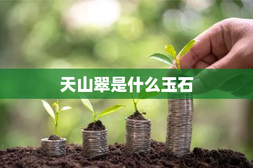 天山翠是什么玉石