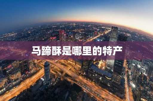 马蹄酥是哪里的特产