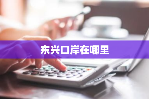 东兴口岸在哪里