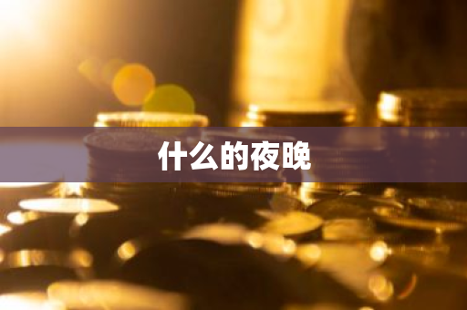 什么的夜晚